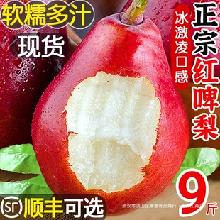 �tơ��9�����rˮ������������]�tƤ��tƢ����ܛ���Ӯ������]