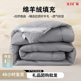 羊毛/羊绒被;纤维被;纺织填充物