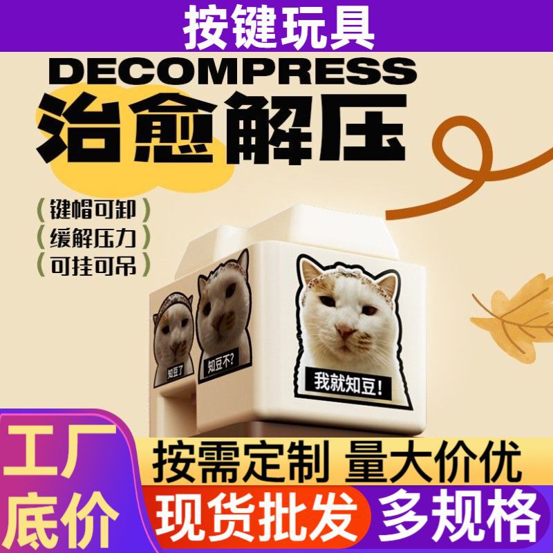 Wholesale Stress Relief Buttons【Know Beans Not Buttons】Stress Relief Toys Glowing Voice Buttons Keychain Gifts