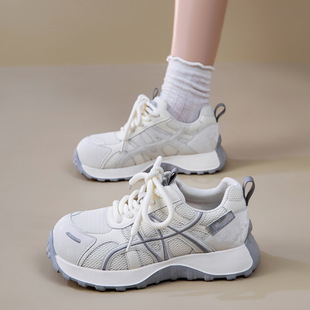 ��a����Ь40-43�a�̽�������e�ϵ�Ь2026�����pЬ���ٴ�p�\