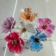 �~�}ľ�m��ͨ�ݻ��ɻ��������ļҾӻ�c�b廨�Ĕz����DIY��ˇ