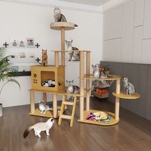 ؈���ܴ���؈�C�ļ�ͨ��؈��һ�w��ľ̫��œ؈ץ��؈��e��؈���