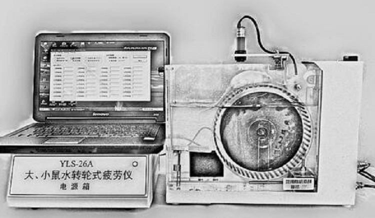 Z水转轮式疲劳测试仪 型号:ZH025-YLS-26A库号：M399015