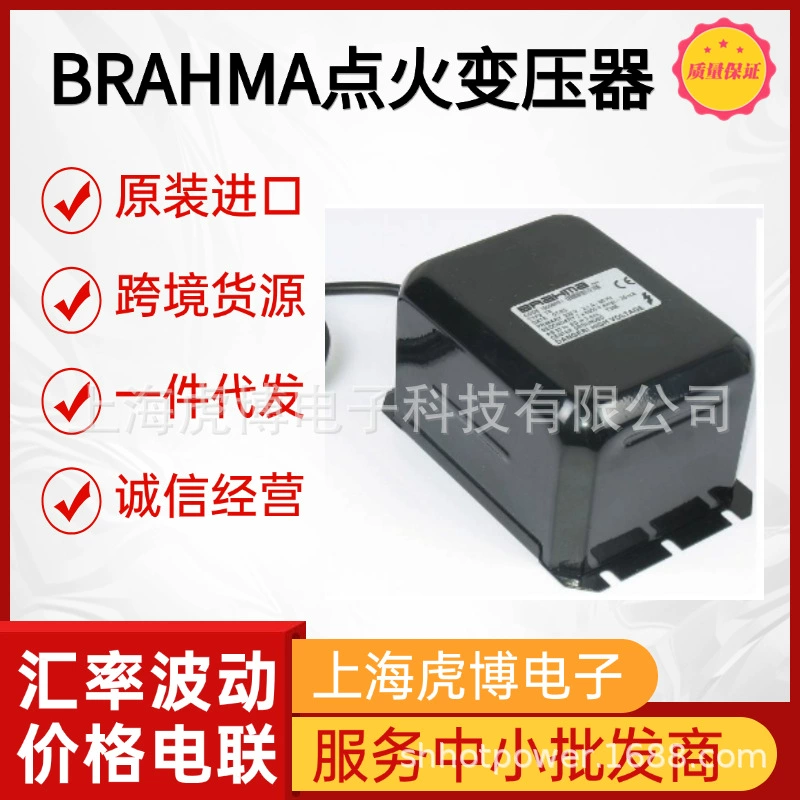 Итальянский высоковольтный блок зажигания Panama T11/R с достаточной мощностью, трансформатор высокого напряжения BRAHMA, высоковольтный воспламенитель.