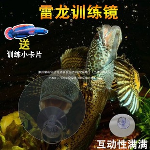 �����~Ӗ���R�Ӷ��~�_�h�p��͸������ҧ���ⶺ�~ָ�h��͸ҕ�R����