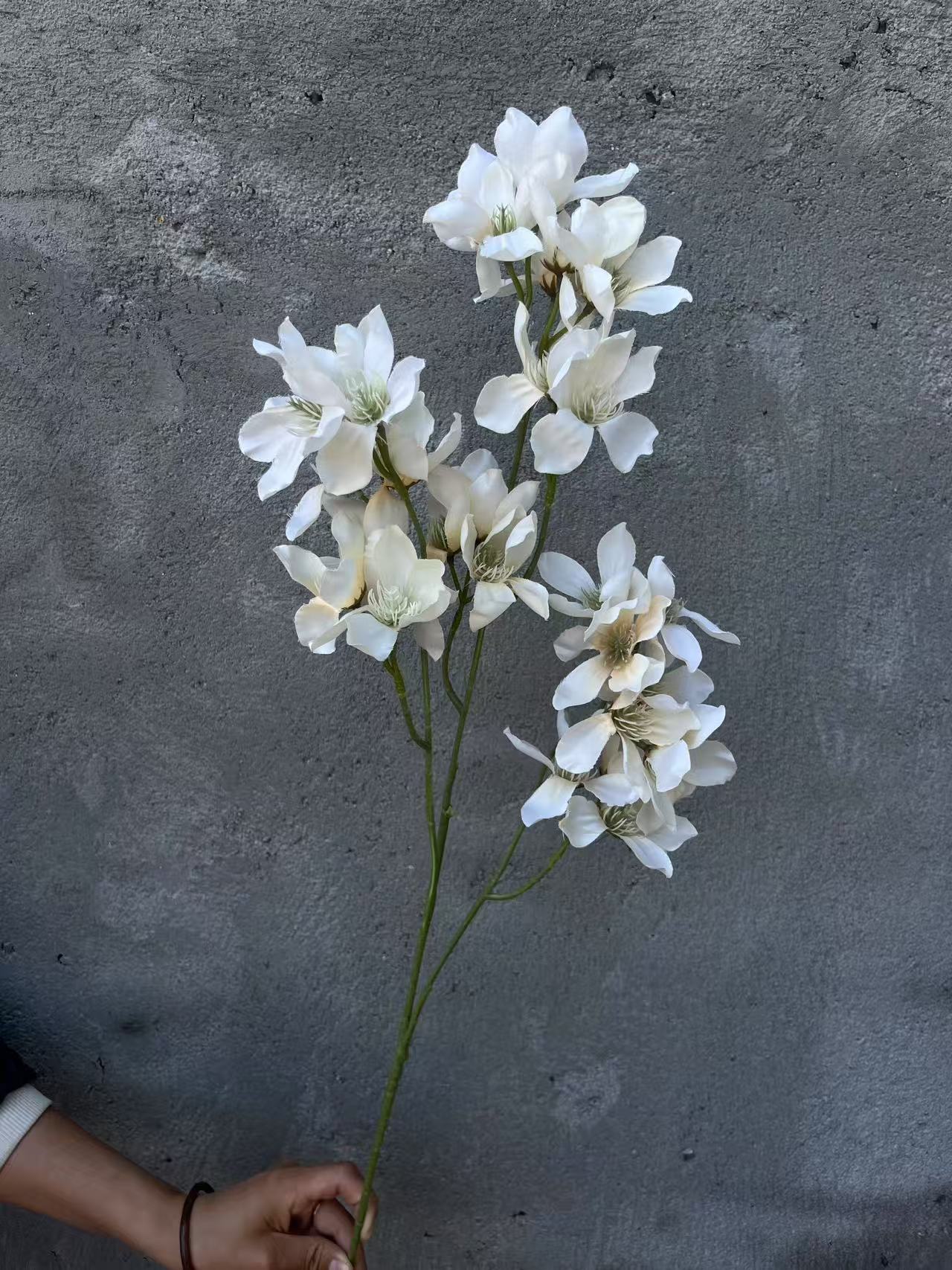 微信图片_20250501095306