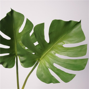 ���Wins�L�Ꭷֲ�����Gֲ������Ҿ��҃��b�ֲ���쾰�zӰ����