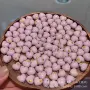 爱心镶嵌手串文玩矿粉