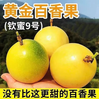 Qinmi No.9 golden passion fruit fresh 10 jin fruit full box free shipping Guangxi large fruit pregnant women preferred