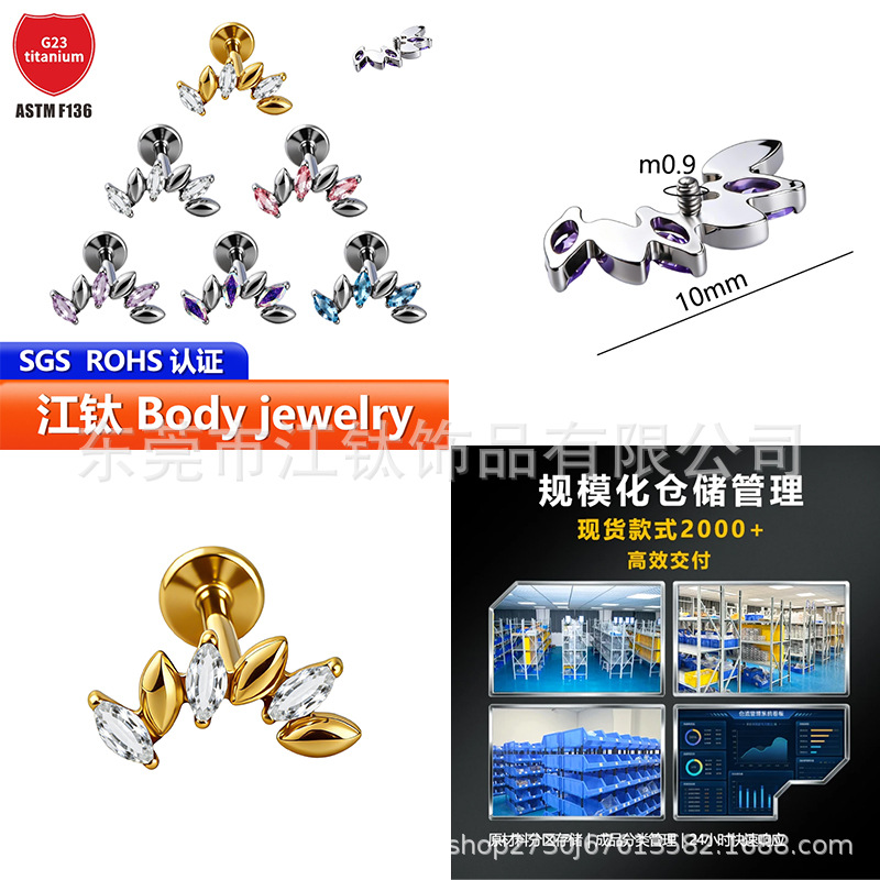 Pointed titanium steel lip stud product view