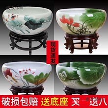。睡莲盆缸落地式养鱼庭院盆养缸盆花盆水草缸鱼盆乌龟。大麦太保