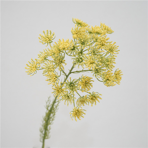 Manufacturer of artificial flowers, lace, floral landscaping decoration, fake flowers, home aesthetics, space display, photography props