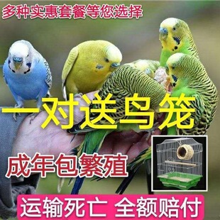 �W�^���B�����B�W�^��Ƥ�W�^녰��W�^���BС�B���fԒ���B�W�^���B