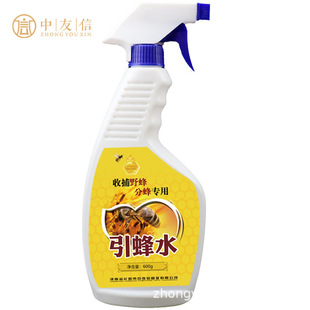 ����ˮ�T���з�ˮ600g�۷���Ϣ��Ұ���T�з䌣������ַ�Ⱥ����
