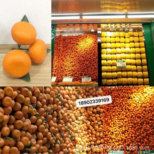 Simulation sugar orange sand molasses fake orange with branches simulation fruit orange simulation kumquat model decorative props