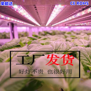 ֲ�����LT5һ�wLED�@ˇ�����a���RoHS�����߲�ˮ����t�{��ɫCE