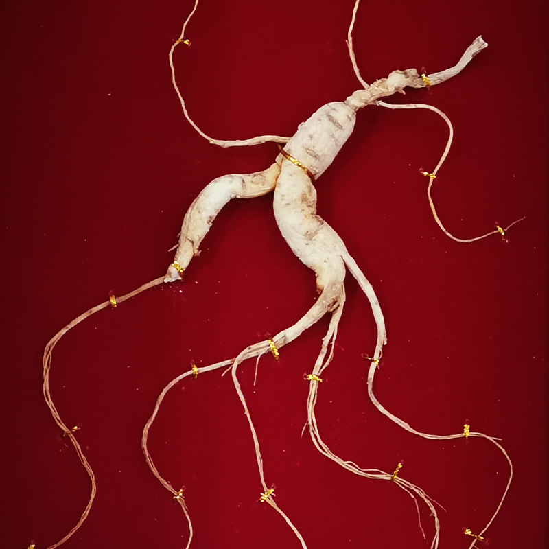 Ginseng from the forest under the mountain, 7-10 years old, Changbai Mountain wild ginseng gift box manufacturer, dry ginseng for New Year's gifts, wholesale forest ginseng