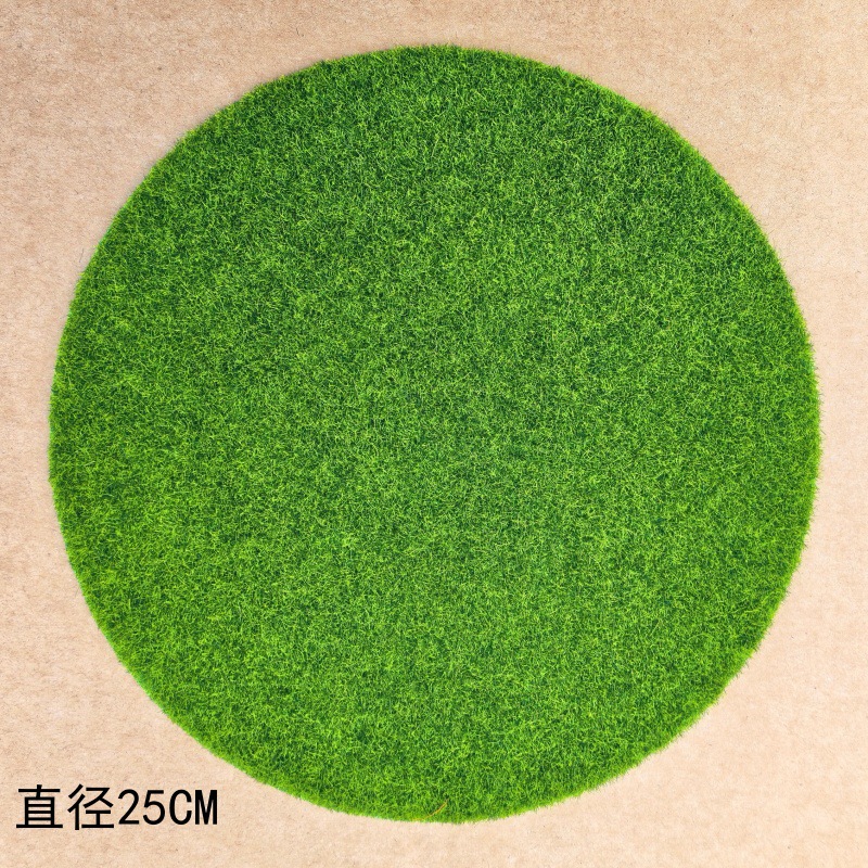 Diameter 25mm