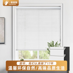 PVC防窥L型免打孔安装百叶窗帘卫生间遮挡帘厨房卷拉式遮阳窗帘