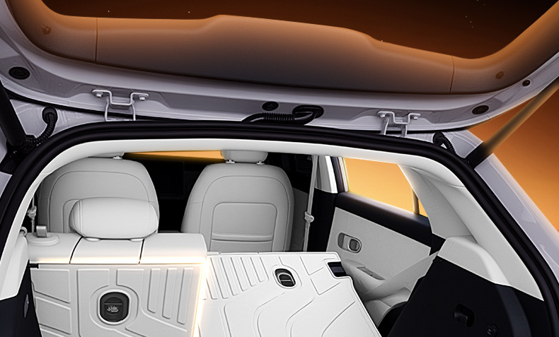 Suitable for Euler 5 Trunk Mat Tpe26 Great Wall Car Interior Modification Accessories Foot Mat Trunk Mat Supplies
