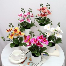 �羳�Wʽ�������Լٻ�����[����ꐷ�������m�辰3D���컨��@�L