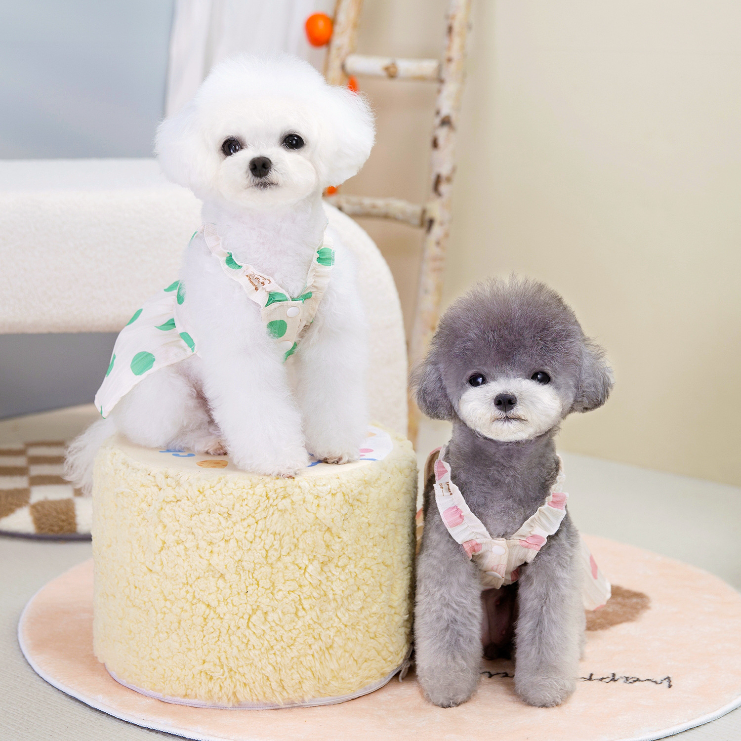 Robe bouffante pastel style coréen avec bordure en dentelle pour chats et petits chiens – Vêtements d'été légers pour animaux de compagnie (rose/vert, S-2XL)_voghion.com