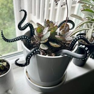 �F؛Set of7Seamonster Tentacles��֬�������~�|��7���׻��@�b�