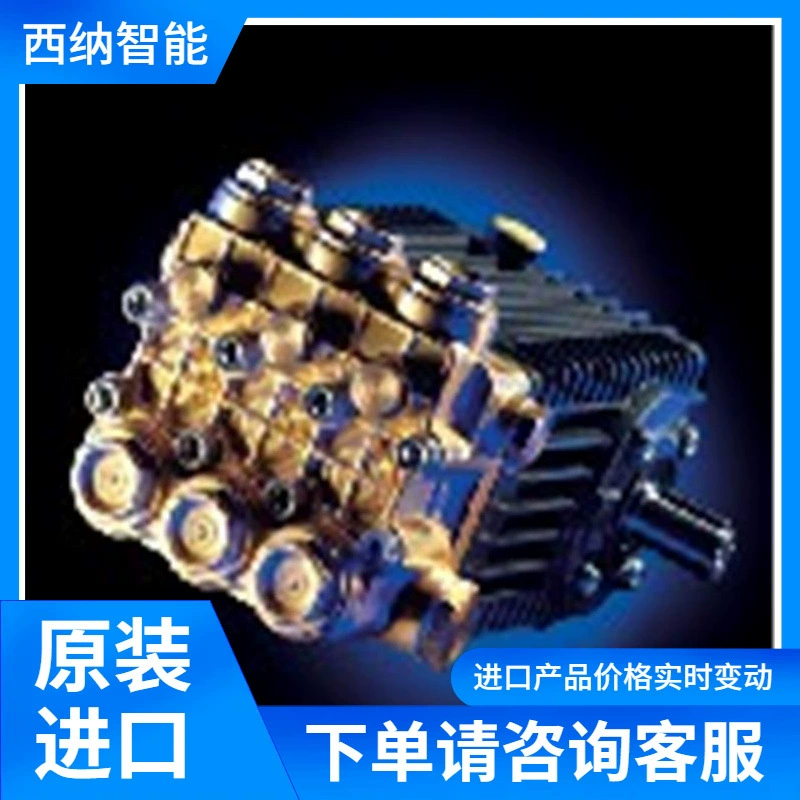 Италия INTERPUMP поставка насоса плунжера высокого давления