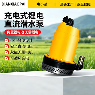 С�S�ô�����12V24Vֱ��ϴ܇����ˮ���ƿ�~�׳�ˮ�Cœ��늄�