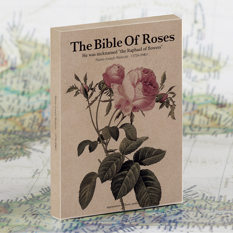 Redouté Joseph redoud-(Rose) art illustration postcard greeting card decorative painting 25 sheets/set