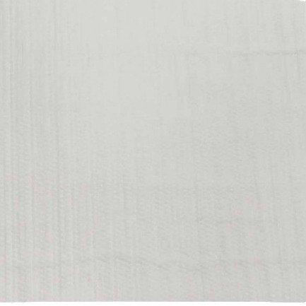 ȼྦྷάձ͸1600浲Ҥ¯̺