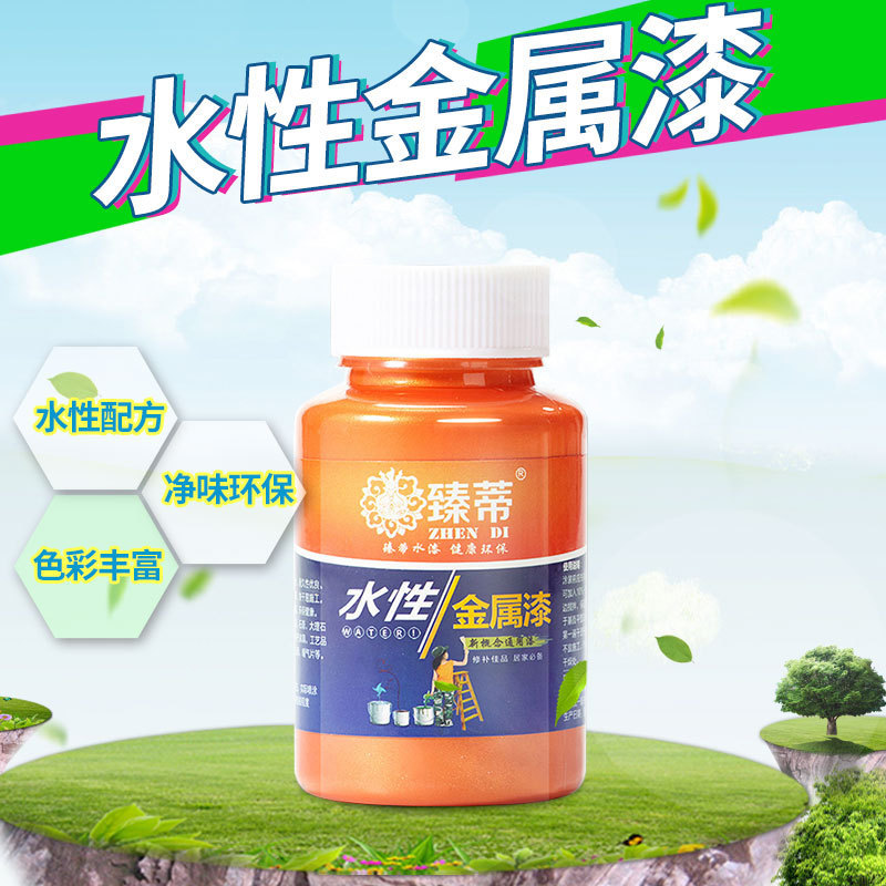 Water-based metal antirust furniture renovation decoration DIY color paint paint 100g/bottle