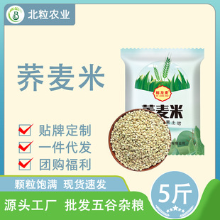 �w����2500g����w�������r���Ԯa��������s�Z�ּZ�w�������