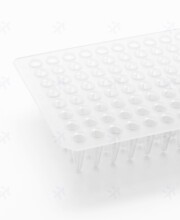 virya 0.2ml͸��PCR�� �ݷe250ul 3320201