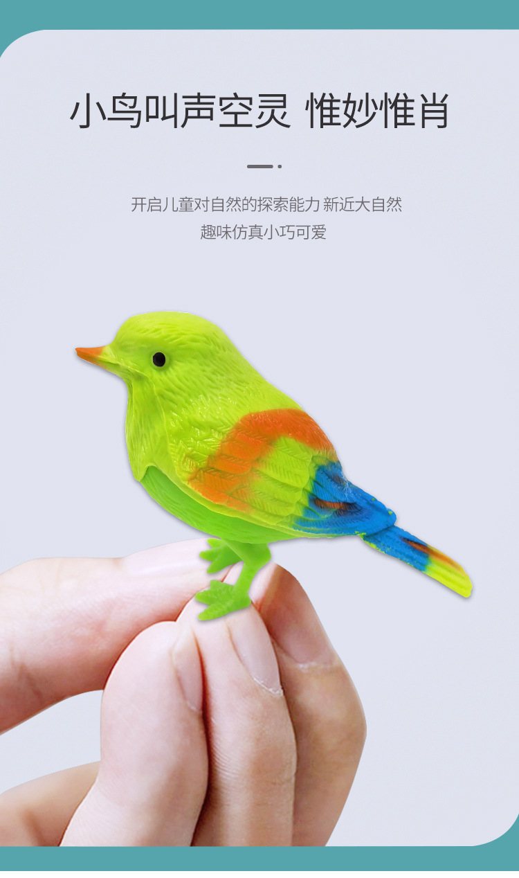 声控小鸟_03.jpg