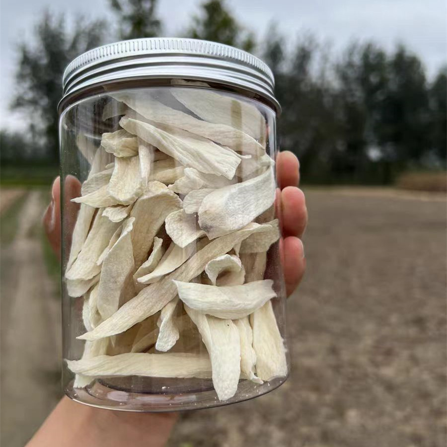 微信图片_20240416194408_副本