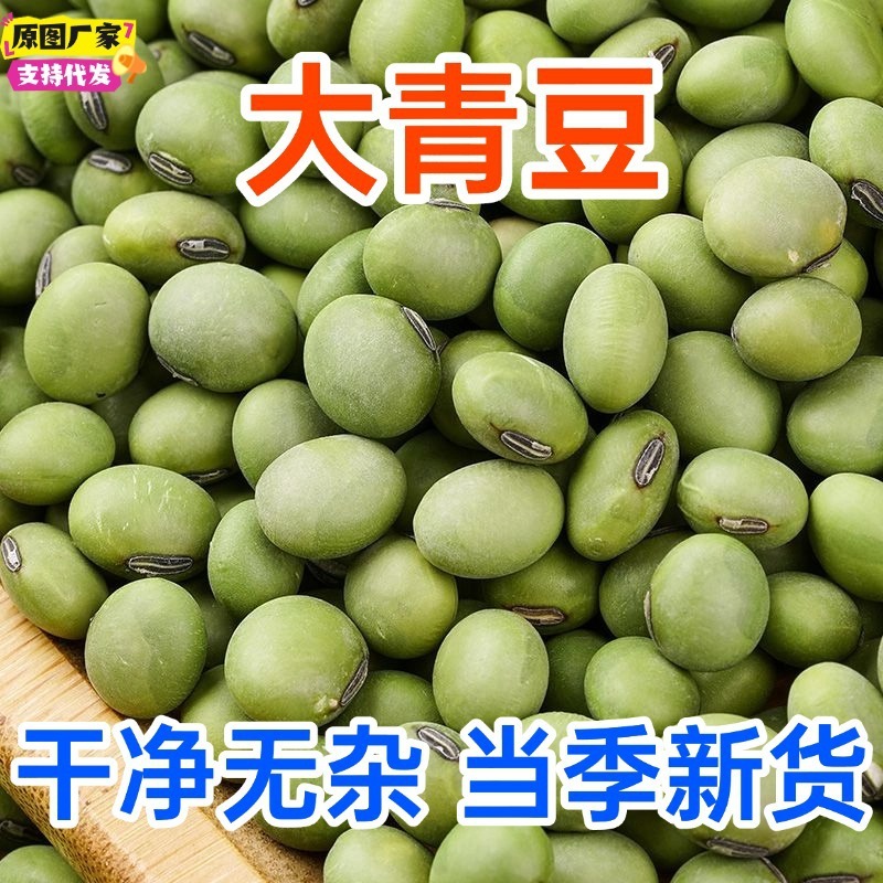 批发双青豆 大青豆 农家自种绿皮豆 青仁大豆黑脐大青豆|undefined
