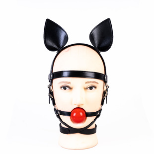 ����K9�ӏ��R����4.2cm���z������߿����{��Ӗū�W����Ȥ�羳