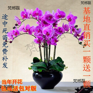 �����m�������l�󻨻���ֲ���҃��m�����ܾGֲ�辰���uͨ