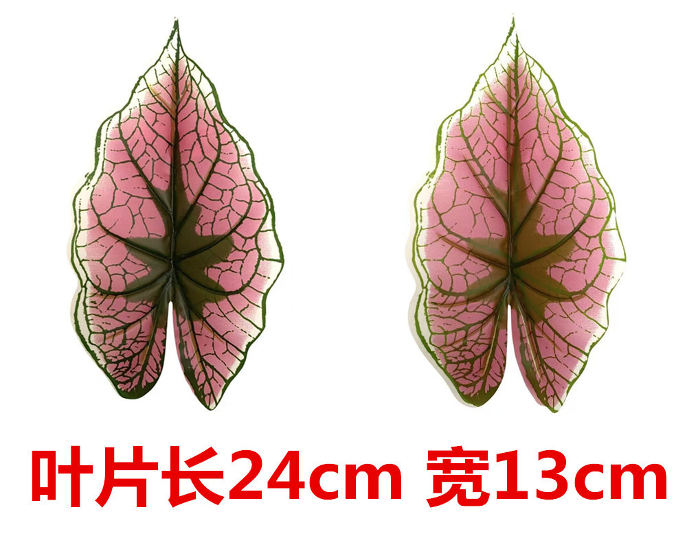 未命名_副本4512