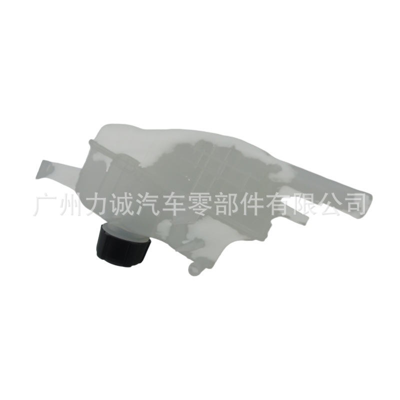 Cross-Border E-Commerce Foreign Trade Supply and Wholesale Suitable for Models Renault Auxiliary Water Tank with Cover 217100005R