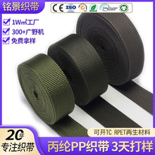 定制丙纶PP织带加厚箱包手提书包汽车安全带美国纹珠纹包边带辅料
