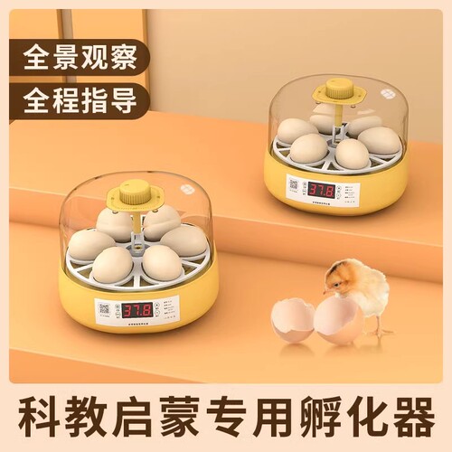 Direct Sales Chicken Incubator Small Home Use Automatic Smart Home Chicken Egg Incubator