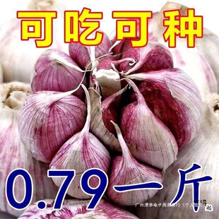 ���l����������^�������Ƥ�����^�¸����r����̓r�Ї����ɢ�b