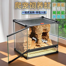爬宠玻璃缸睫角守宫饲养箱鬃狮蜥蜴蛇角蛙树蛙蜘蛛造景生态雨林缸