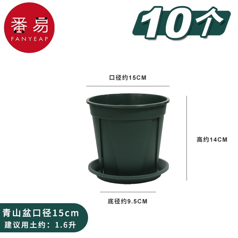 Upper diameter 15cm 10 pieces