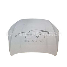 ���ѧ���Hood FAW Bestune T77 1EA052310