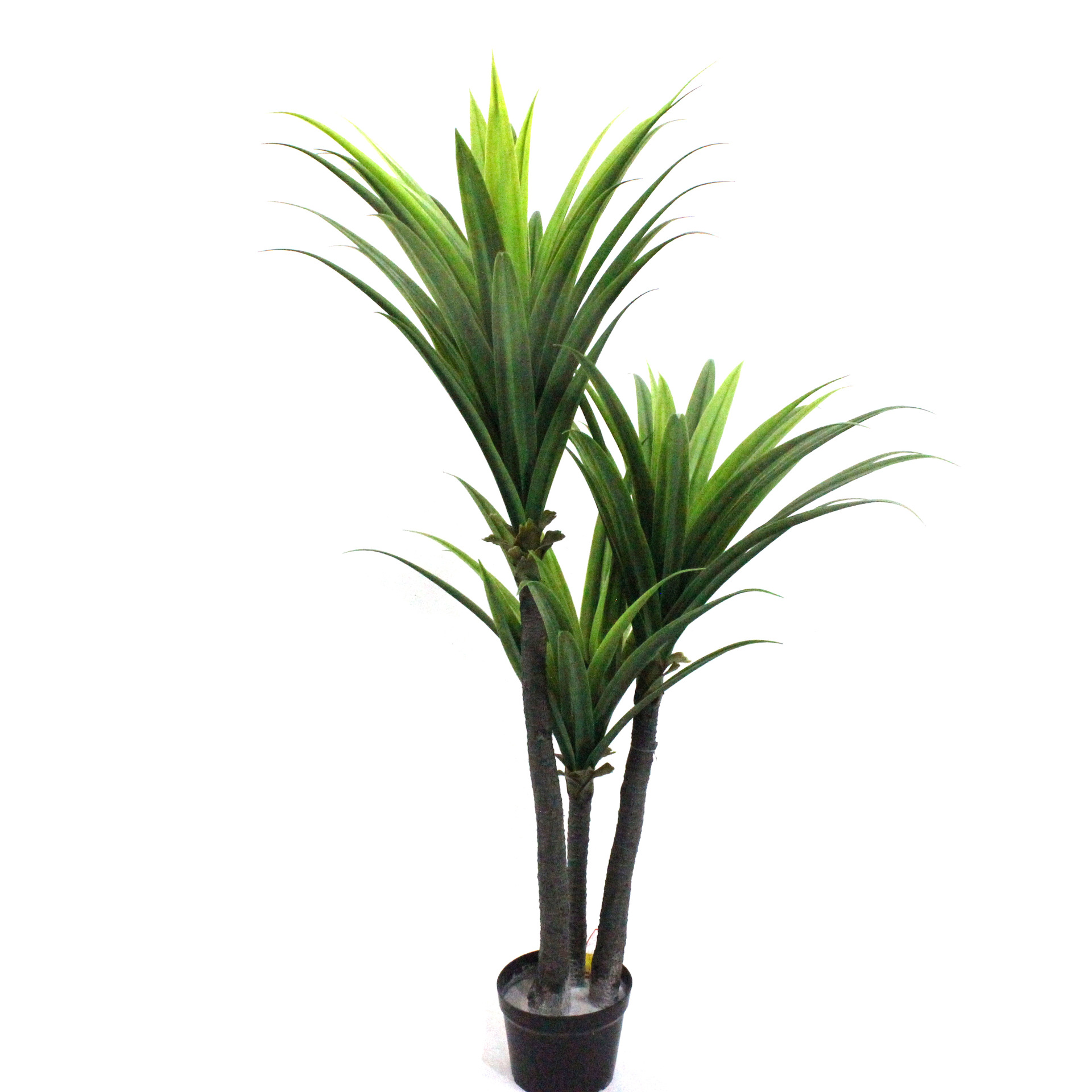 Simulación transfronteriza de árboles tropicales, plantas verdes, modelado de oficina, paisaje, navegación suave en todas las estaciones, simulación de árboles tropicales