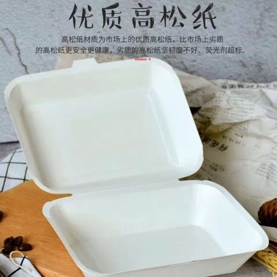 Disposable Oyster Packaging Box, Hamburger Box, Biodegradable Take-Out Lunch Box, Commercial Material, Baking-Free Meal B&