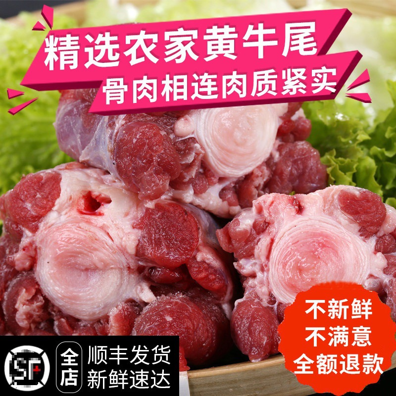 新鲜牛尾巴500g 农家散养黄牛牛尾 1斤 牛尾段 牛尾骨 生牛肉